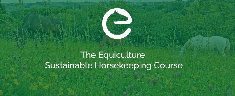 New Equicentral Course is Launched!