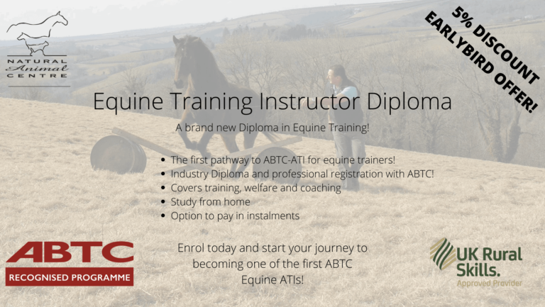 BRAND NEW Equine Training Instructor Pathway is launched!