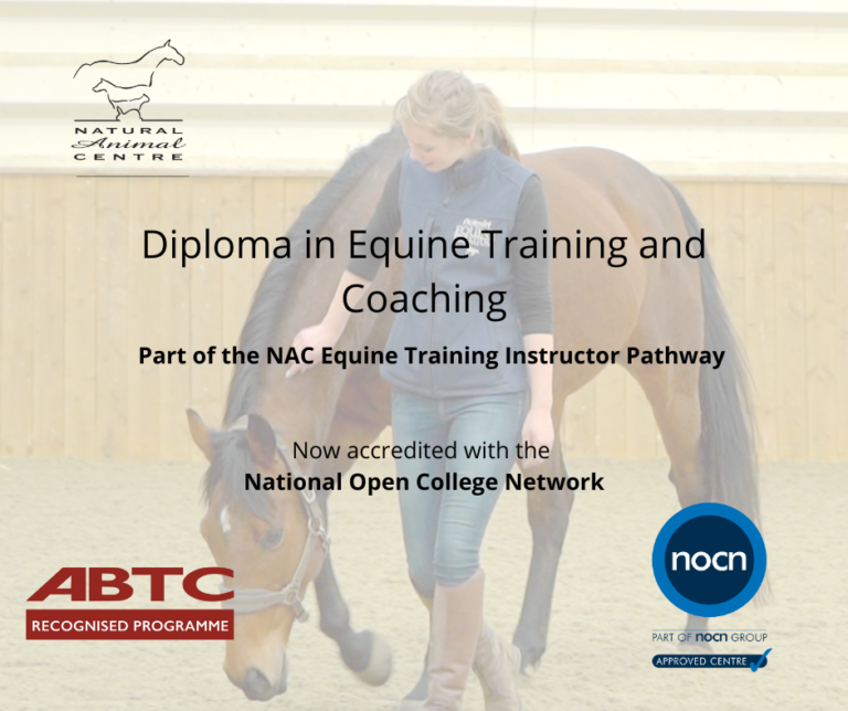 The Diploma in Equine Training and Coaching is now NOCN Accredited