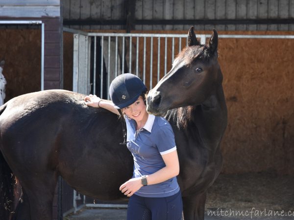equine training course