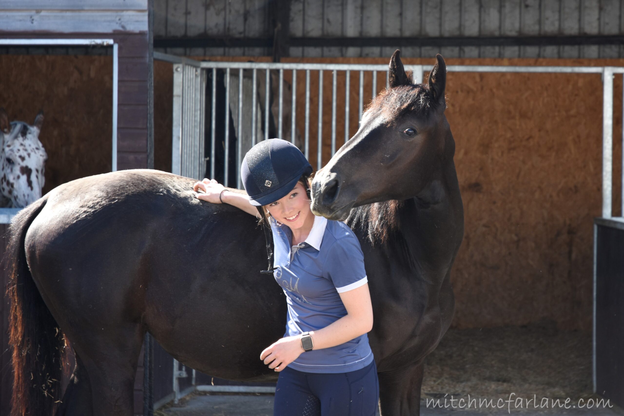 equine training course