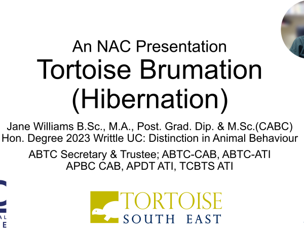 Webinar: Tortoise Hibernation (Brumation) with Jane Williams