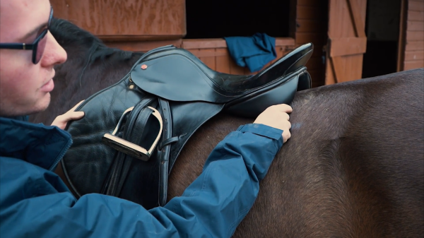 Screenshot 2026 04 24 at 15 47 01 SADDLE ASSESMENT BANTA.mp4 NAC Socials Frame.io