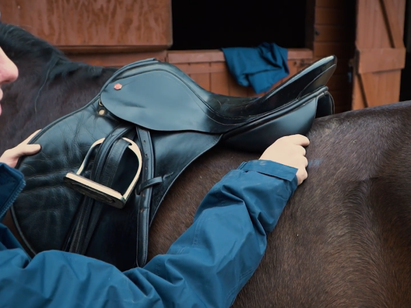 Saddle Fit 101 Weekend Workshop 18th & 19th July