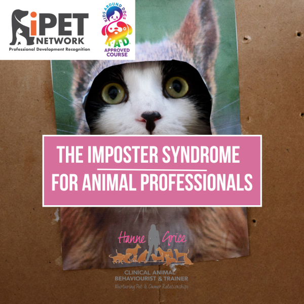 Imposter syndrome 3