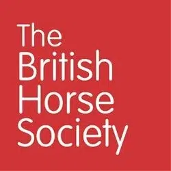 bhs logo small